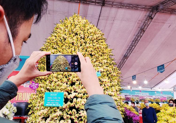 Rất nhiều vị khách tò mò đến xem, chụp hình và thích thú ngắm nhìn chậu lan bạc tỷ.