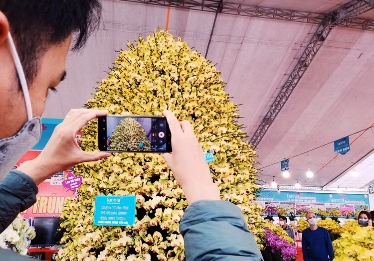 Rất nhiều vị khách tò mò đến xem, chụp hình và thích thú ngắm nhìn chậu lan bạc tỷ.