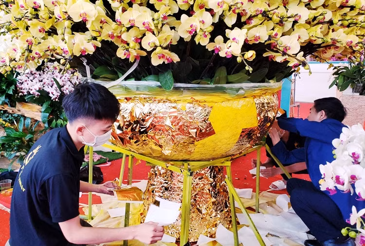 Như các chậu lan hồ điệp truyền thống, chậu lan được tạo hình tháp, với hàng nghìn cành lan vàng cắm đan xen.