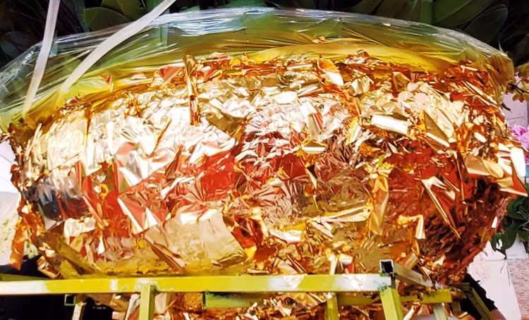 Để ghép được chậu lan hồ điệp siêu khủng này, cách đây 3 tháng, nhà vườn đã đặt riêng một chiếc chậu có đường kính 1,5 mét, bên ngoài được khảm trai vẩy rồng để ghép lan. Tính riêng giá của chậu đã lên tới 60 triệu đồng.