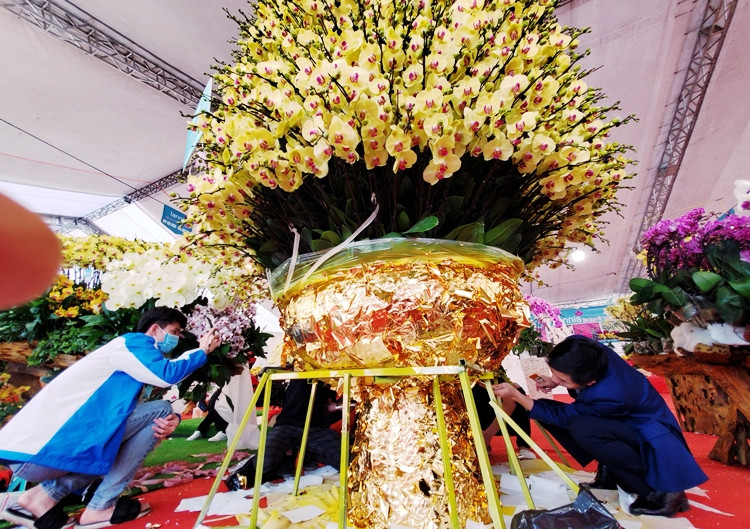 Sở dĩ chậu lan hồ điệp có giá hơn 1 tỷ đồng như vậy, bởi chậu lan được chủ nhân dát vàng lá 24K, gồm 2686 cành lan khác nhau, do 4 người thợ lành nghề, cắm và tạo hình trong suốt 3 ngày 3 đêm (chưa kể công đoạn dát vàng).