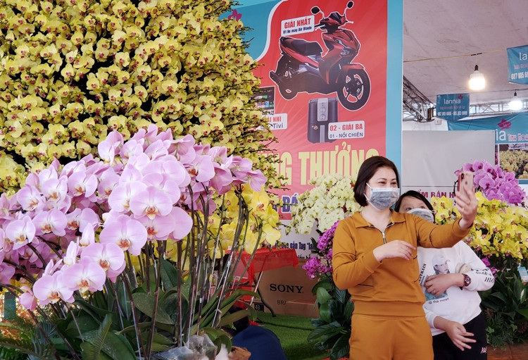 Khách hàng thích thú, "tự sướng" với chậu lan hồ điệp dát vàng hơn 1 tỷ đồng ở chợ hoa Tết.
