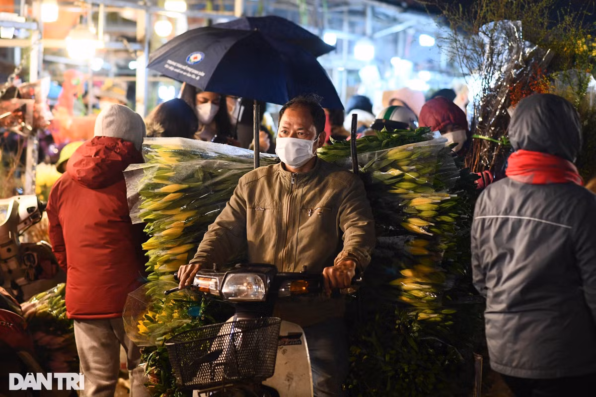 Từng đoàn xe chở đầy ắp hoa tấp nập di chuyển liên tục qua các dãy ki-ốt, chủ yếu là tiểu thương từ chợ dân sinh bên ngoài nhập hoa tới bán tại chợ.