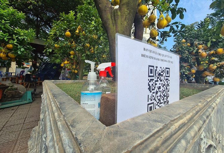 Trước diễn biến phức tạp của dịch bệnh COVID-19, khách hàng mua sắm cây cảnh tại chợ hoa Tết trên đường Lạc Long Quân (Hà Nội) được yêu cầu quét mã QR và thực hiện 5k.