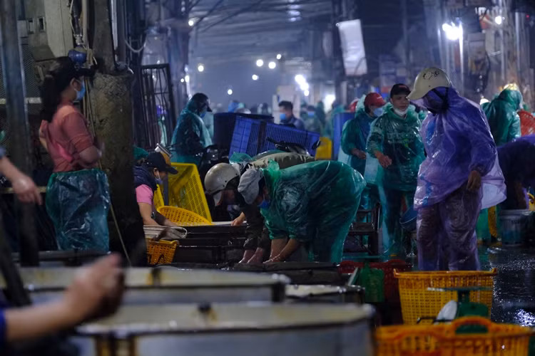 Hàng năm, cứ đến Tết ông Công ông Táo (23 tháng Chạp âm lịch), chợ cá Yên Sở (Hoàng Mai, Hà Nội) lại tấp nập bởi các tiểu thương và người dân tìm tới mua cá chép đỏ. Ghi nhận của phóng viên Tri thức và Cuộc sống sáng 23/1, không khí tại chợ cá Yên Sở vẫn rất nhộn nhịp.