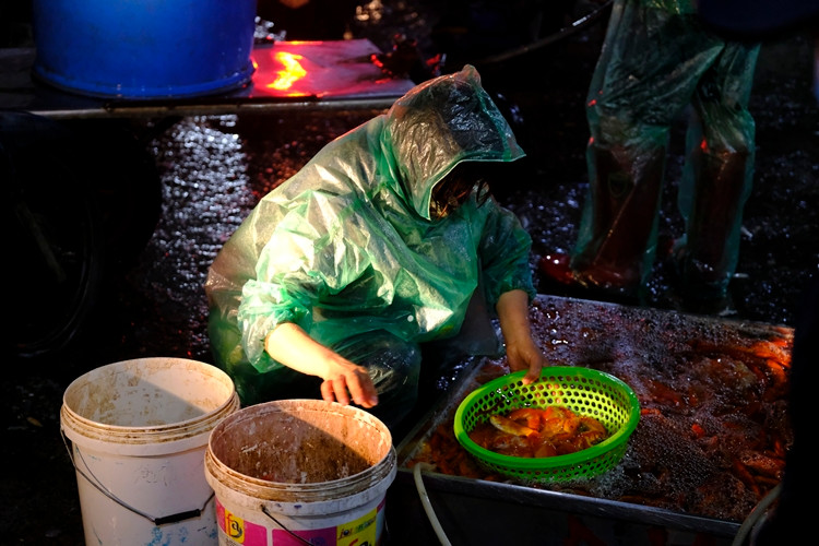 Tiêu chuẩn của một con cá đẹp là mình đỏ đẹp, mắt đen và có bụng mỡ...