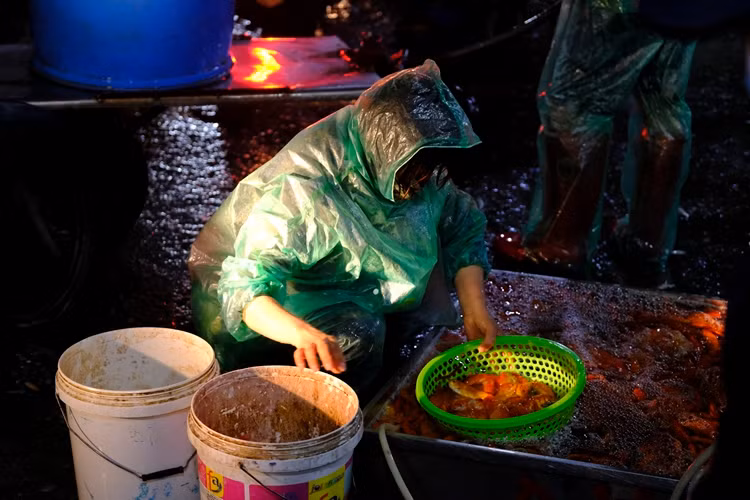 Tiêu chuẩn của một con cá đẹp là mình đỏ đẹp, mắt đen và có bụng mỡ...