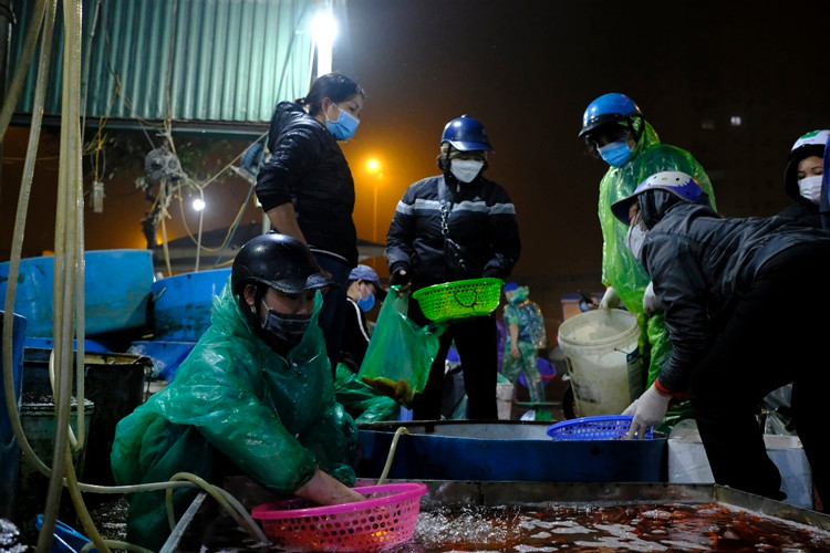 Cảnh mua bán tấp nập ở chợ cá Yên Sở.