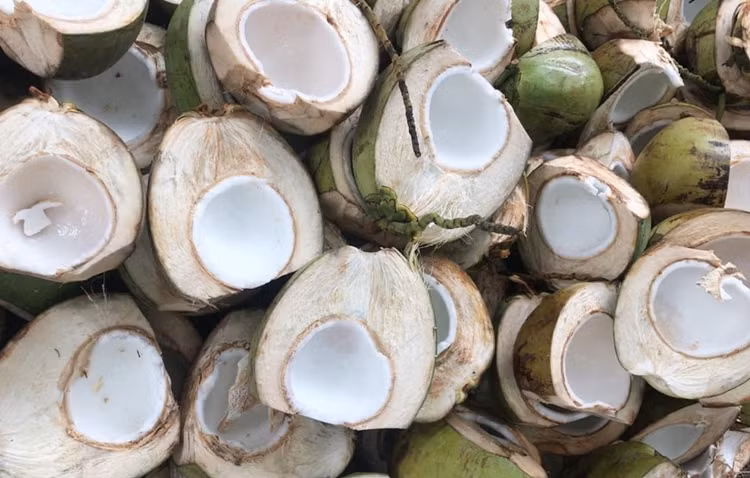 Dừa làm mứt là loại dừa non, dừa bánh tẻ vừa mềm vừa dễ làm mứt. Ban đầu, trái dừa non được chặt bỏ đi lớp vỏ dày bên ngoài.