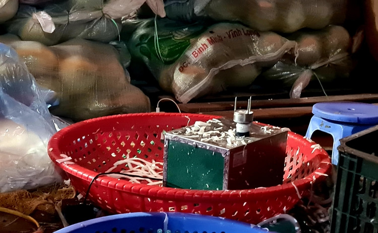 Chiếc máy nạo dừa để cho ra sợi đẹp mắt.