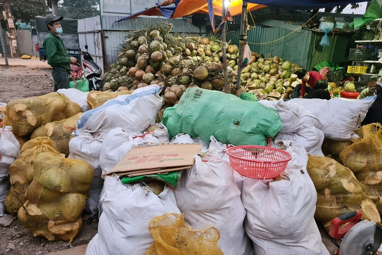 Dừa của cơ sở này chủ yếu được nhập từ Bến Tre về. Theo chủ cơ sở, những ngày giáp Tết do nhu cầu khách hàng mua cùi dừa làm mứt tăng cao nên nhân công thuê làm việc từ sáng sớm cho đến đêm mới nghỉ.