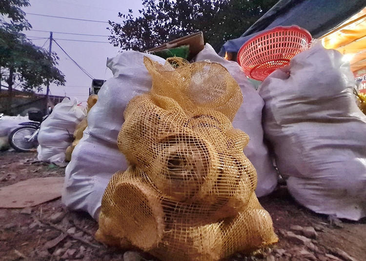 Phần vỏ dừa không sử dụng đến được đóng bao tải bỏ đi.