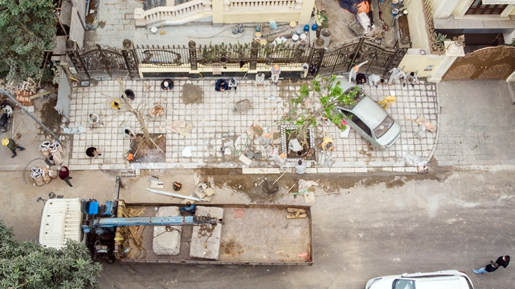 Hình ảnh công nhân lát vỉa hè, trồng cây xanh rầm rộ trước biệt thự số 9 lô B, khu biệt thự 5,2ha.