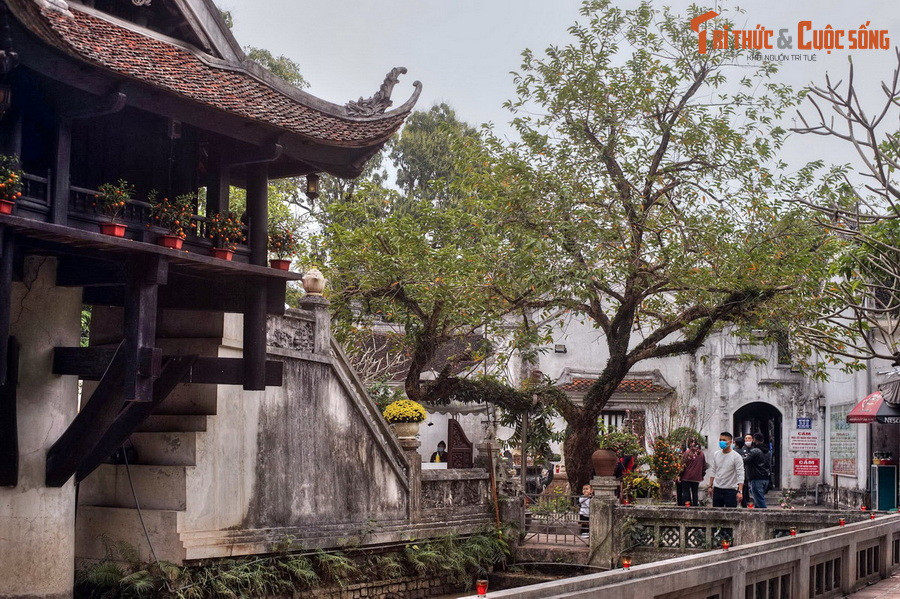 Chuyện bắt đầu từ một truyền thuyết dân gian, theo đó, vào năm 1049, vua Lý Thái Tông đã mơ thấy mình được Phật bà Quan Âm đưa lên tòa sen. Tỉnh dậy, nhà vua kể lại chuyện cho quần thần nghe và được nhà sư Thiền Tuệ khuyên dựng chùa có hình dáng như đài sen.