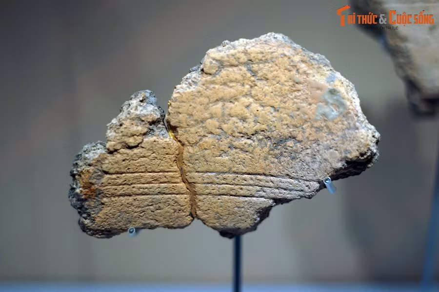 Phát hiện quan trọng ở Luy Lâu đã giải đáp những bí ẩn liên quan đến phương pháp và kỹ thuật đúc trống đồng của người Việt cổ, đồng thời là minh chứng cho sức sống lâu bền của văn hóa Đông Sơn trong dòng chảy lịch sử dân tộc.