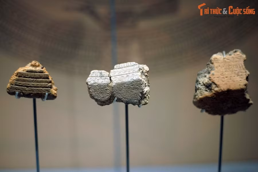 Khi đó, sự kiện này đã gây tiếng vang lớn trong giới nghiên cứu. Đến năm 2001, một mảnh khuôn đúc trống khác cũng được tìm thấy bởi Nishimura. Từ đó đến nay, Luy Lâu liên tục được nhiều cơ quan, đơn vị nghiên cứu khai quật.