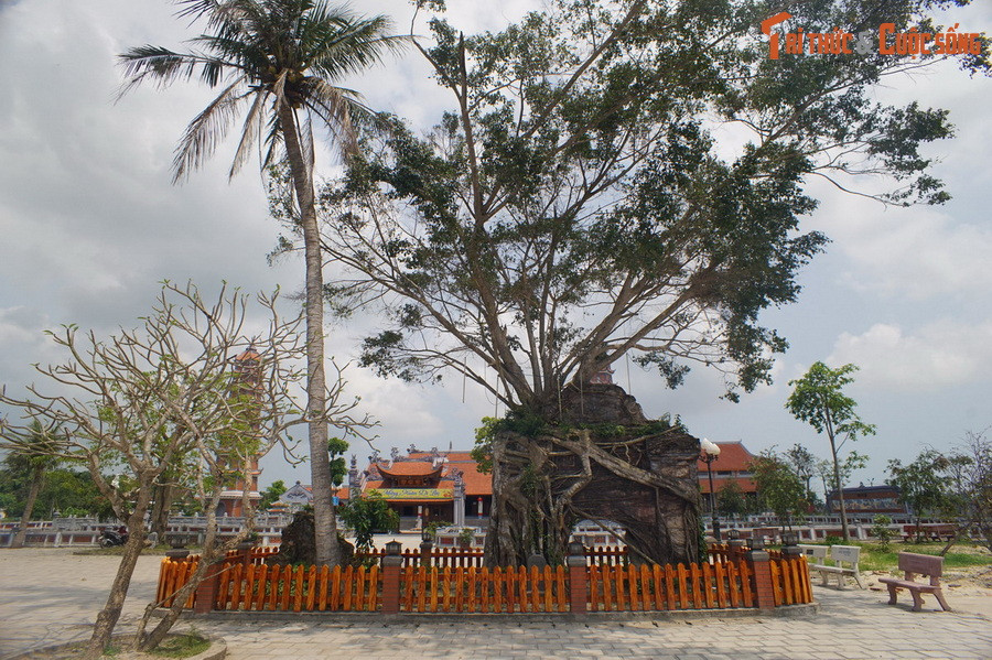 Chiếc cổng cũ của chùa Hoằng Phúc được lưu giữ như một chứng tích lịch sử.