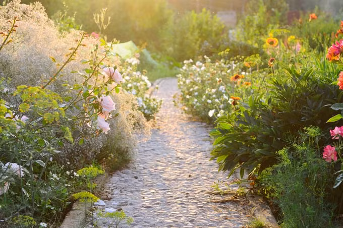 Mùa hè đến rồi, thời tiết nóng bức ngột ngạt khiến con người chỉ muốn được giải khát bằng thức uống dinh dưỡng mát mẻ, thơm ngon. Trong đó, nước dừa là một trong những loại nước giải khát được yêu thích nhất.