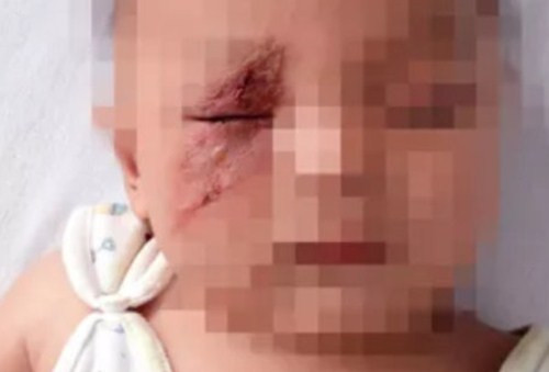 Bo bay toi mat con, me dua tay vo khien mat con bien dang