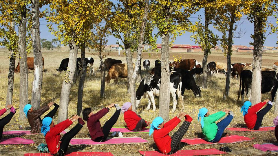 Sau ba hiệp, thực hiện những động tác khó, phóng viên Sina phải thừa nhận rằng cô đã thua triệt để.