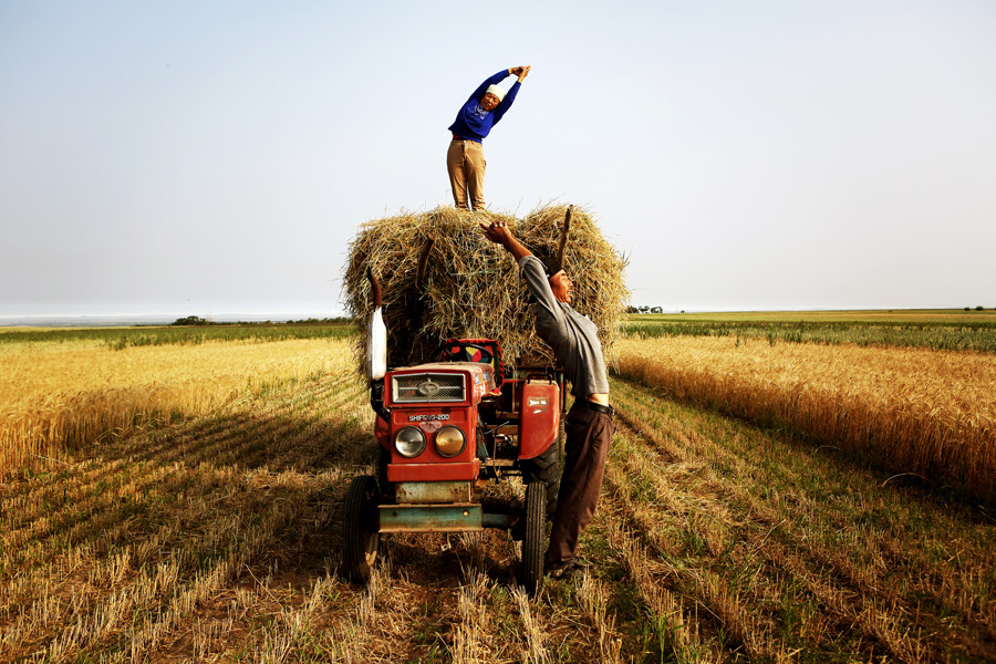Đối với những động tác đòi hỏi tính mềm dẻo còn khá một chút, nhưng đến những động tác đòi hỏi sức mạnh cơ cốt cực cao, chẳng hạn như trồng cây chuối, những người cao tuổi nơi đây có thể thực hiện cực nhanh, thậm chí chỉ cần 1s để hoàn thành.