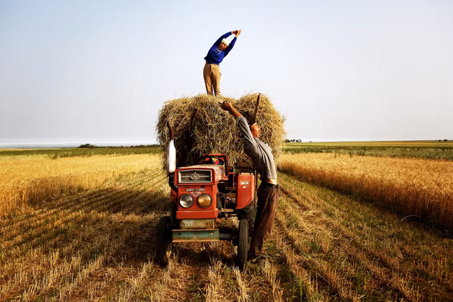 Đối với những động tác đòi hỏi tính mềm dẻo còn khá một chút, nhưng đến những động tác đòi hỏi sức mạnh cơ cốt cực cao, chẳng hạn như trồng cây chuối, những người cao tuổi nơi đây có thể thực hiện cực nhanh, thậm chí chỉ cần 1s để hoàn thành.