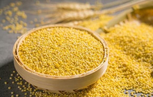 Ngoài ra, hạt kê còn có tác dụng lợi tiểu, ngừa sỏi thận, đái tháo đường và tiêu chảy, là lương thực tốt cho người đau dạ dày và mắc chứng khó tiêu, miệng hôi, tỳ vị hư nhược.