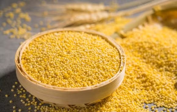 Ngoài ra, hạt kê còn có tác dụng lợi tiểu, ngừa sỏi thận, đái tháo đường và tiêu chảy, là lương thực tốt cho người đau dạ dày và mắc chứng khó tiêu, miệng hôi, tỳ vị hư nhược.