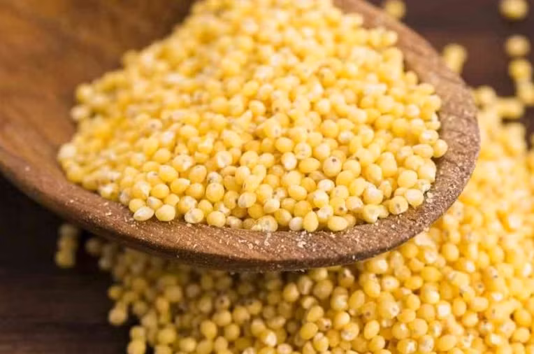 Hạt kê chứa hydrat carbon, protein, lipid, Ca, P, Fe, các loại đường, sinh tố nhóm B. Vị ngọt mặn, tính mát; vào tỳ, vị, thận; kê có tác dụng kiện tỳ hòa vị, bổ thận thanh nhiệt.