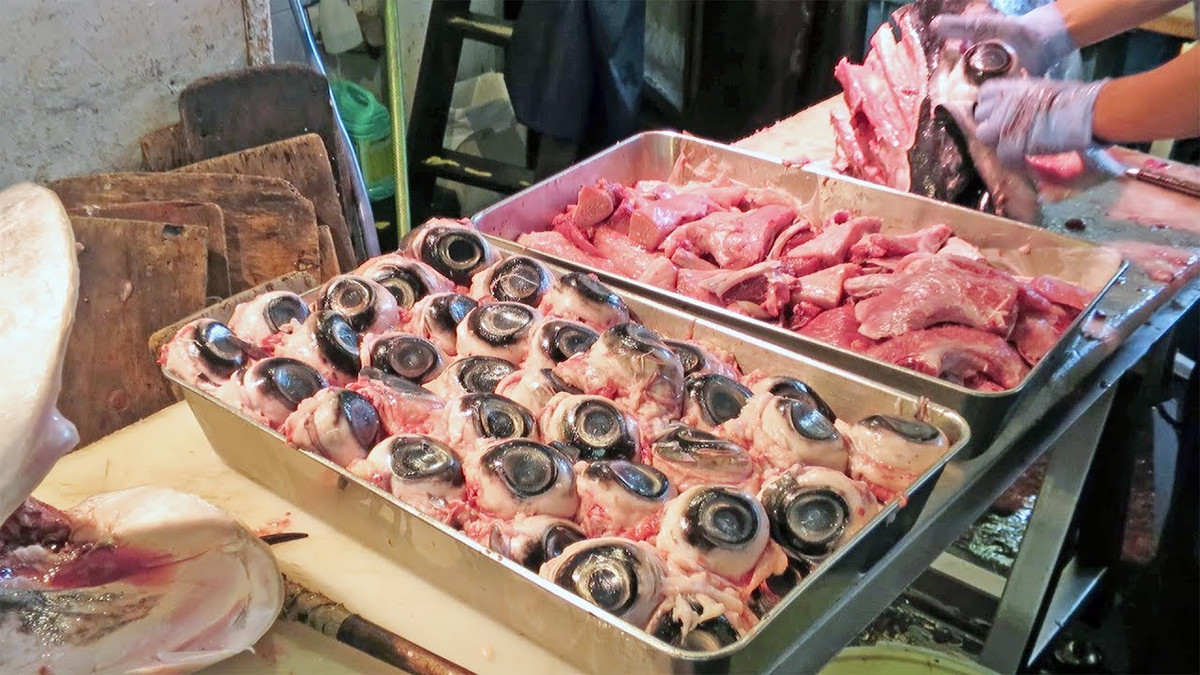 Món ăn này cũng được xem là rất giàu axit béo omega 3, nhưng không phải ai cũng dám thử vì dù cho được bày biện, trang trí đẹp đẽ thế nào, cũng không thể giấu đi được sự kinh hoàng của những đôi mắt cá đang mở to, giống như nhìn chằm chằm vào người ăn.