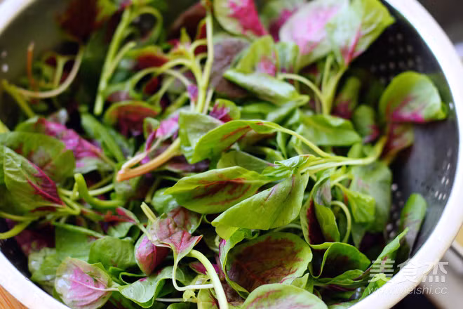 Dân gian có câu "Tháng sáu không dùng rau dền để đổi trứng, tháng bảy có vàng cũng không đổi rau dền" để chỉ sự quý của loại rau này. Vậy, rau dền có những lợi ích cụ thể thế nào, hôm nay chúng ta sẽ cùng điểm qua.