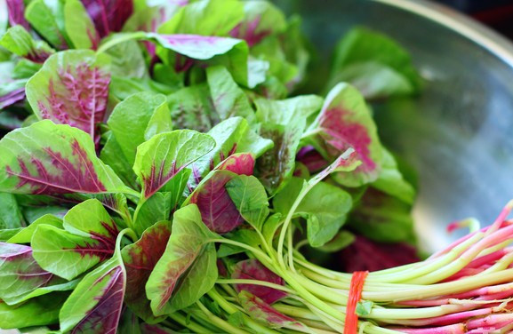 Thứ hai, rau dền cũng được mệnh danh là "rau bổ máu". Sở dĩ rau dền đỏ có tác dụng bổ máu không phải vì nước ép của nó có màu đỏ mà vì loại rau này rất giàu sắt, vitamin K, vitamin C và các chất dinh dưỡng khác, có thể tăng hàm lượng hemoglobin và cải thiện chức năng tạo máu.