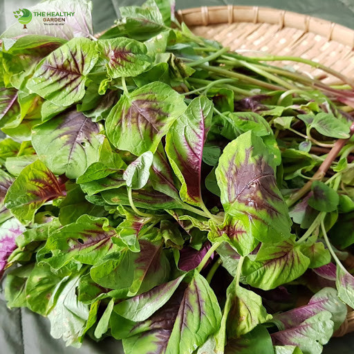 Tuy tỷ lệ hấp thụ sắt trong thức ăn thực vật không cao nhưng đối với những người ăn chay, rau dền đỏ là thực phẩm bổ máu lý tưởng.