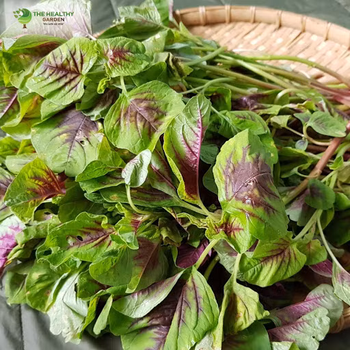 Tuy tỷ lệ hấp thụ sắt trong thức ăn thực vật không cao nhưng đối với những người ăn chay, rau dền đỏ là thực phẩm bổ máu lý tưởng.