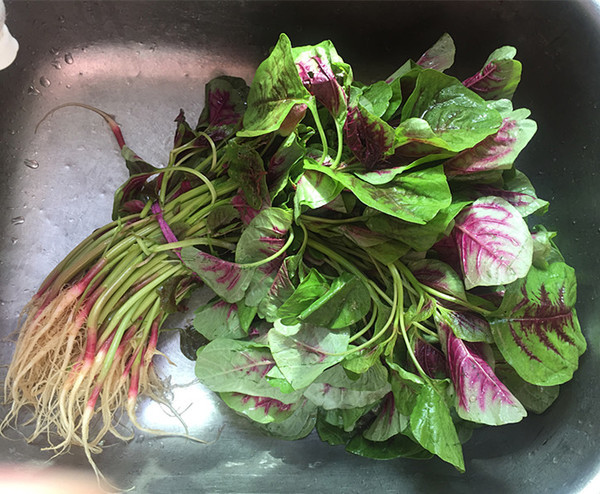 Thứ năm, thanh nhiệt giải độc. Y học cổ truyền cho rằng, rau dền có tính hơi lạnh, vị ngọt, có tác dụng thanh nhiệt, giải độc. Mùa hè thời tiết nóng nực, cơ thể dễ nóng trong, lúc này ăn một ít rau dền đỏ có thể ngăn ngừa được hiện tượng này.