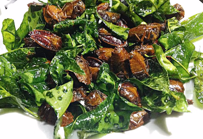 Kinh di mon dac san tu loai con trung vua hoi vua co the gay mu loa