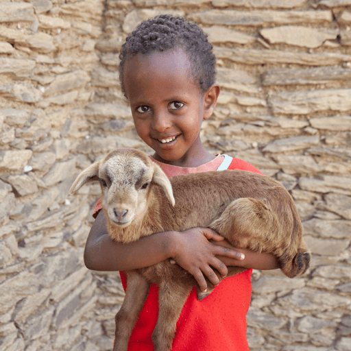 Tuổi Mùi vận thế tổng quan đạt 87 điểm. Con giáp nên cẩn thận để giảm bớt sai sót trong công việc. Thu nhập không quá cao, nhưng tuổi Mùi ngày càng biết trân trọng những gì kiếm được.