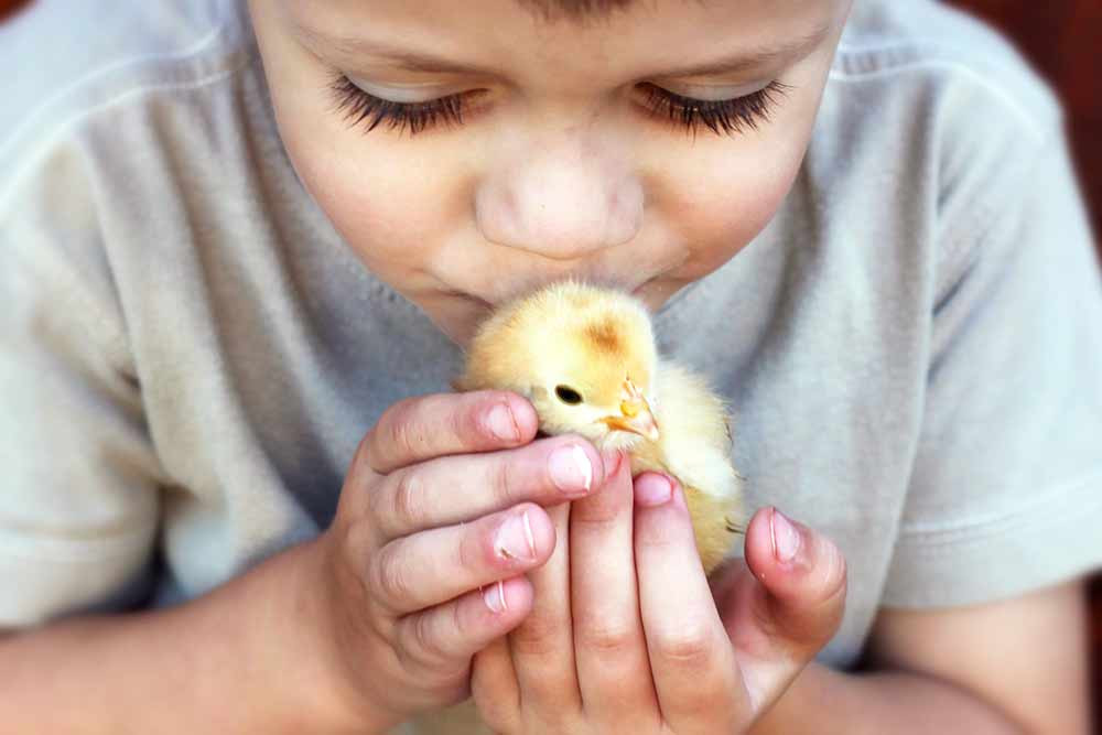 Tuổi Dậu nên phân tích chi tiết công việc đẻ giảm bớt sai sót. Tìm ra phương thức kiếm tiền phù hợp, con giáp dễ dàng thu hoạch bộn tiền.