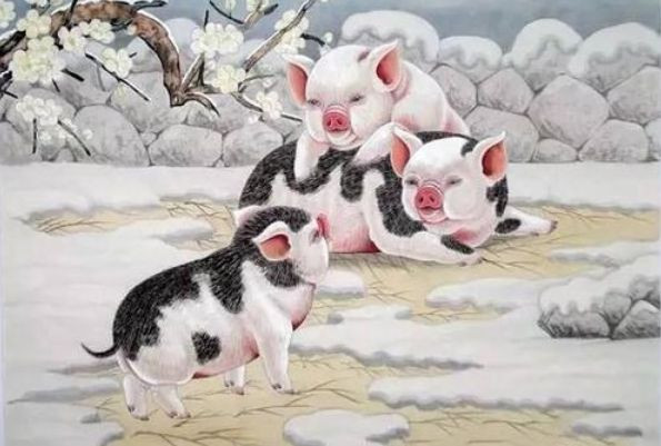 Người tuổi Hợi tính tình rộng rãi, thà chịu chút thiệt thòi, không màng tới bon chen. Con giáp có tầm nhìn lớn, nên không bao giờ quan tâm đến chút lợi ích nhỏ nhoi trước mắt. Người tuổi Hợi nhìn bề ngoài hơi ngốc nghếch, chịu thiệt, nhưng lại nhận được phúc khí đầy đủ, cuộc sống luôn suôn sẻ không có nhiều va chạm.