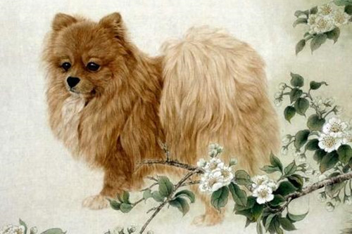 Theo dự đoán cho 12 con giáp, tuổi Tuất thông minh, hóm hỉnh, khoan dung, gặp nhiều may mắn trong cuộc sống. Người tuổi Tuất trung thành và đáng tin cậy, không sử dụng các thủ đoạn mưu mô. Vì vậy họ được nhiều người thích kết giao, sẵn sàng hỗ trợ, giúp đỡ khi cần.