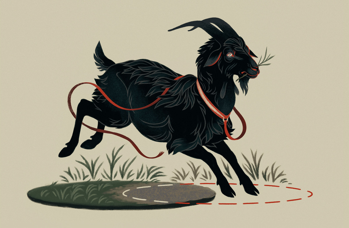 Theo dự đoán cho 12 con giáp, những người tuổi Mùi tính cách ổn định và chân thành, thường được mọi người giúp đỡ.