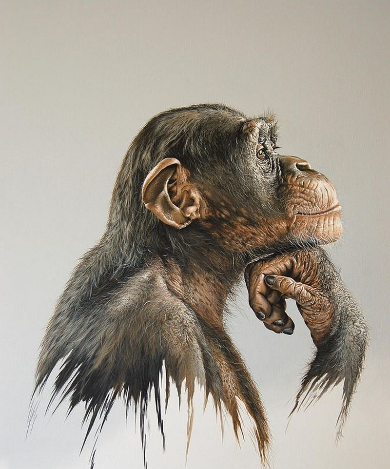 Tuổi Thân cải thiện được khả năng giao tiếp, nhờ đó công việc dễ dàng hơn. Công việc kinh doanh bên ngoài tiến triển tốt, con giáp có một khoản tiền lớn để đầu tư vào việc khác.