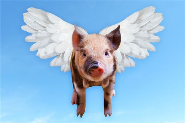 Tuổi Hợi đừng mải đấu đá ngầm với đồng nghiệp, khiến tất cả mệt mỏi cũng không đem lại hiệu quả gì. Hãy thẳng thắn giải quyết vấn đề với nhau. Hôm nay quý nhân giúp đỡ nên việc kiếm tiền đầu tư của con giáp tiến triển rất tốt. (*Thông tin chỉ mang tính chất chiêm nghiệm, trắc nghiệm vui).