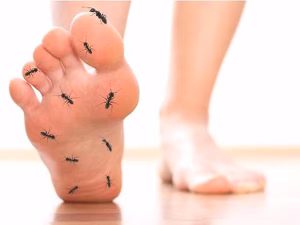 Xuất hiện u, cục ở chân. Khi tế bào ung thư có dấu hiệu di căn, nó sẽ hình thành các khối, u cục. tạo nên sự thay đổi ở chân bất thường.