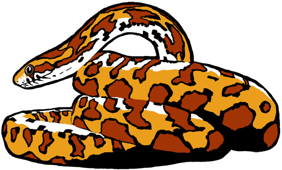 Sang tháng 5 con giáp vượng phát, tiền bạc rủng rỉnh, cả đời sung sướng, con giáp nào còn nghèo khó cũng vụt giàu có, ngân khố đầy ắp.