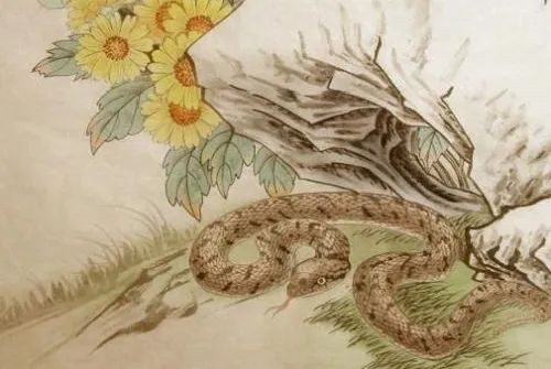 Nhất là khi tuổi Tỵ vốn ham làm giàu nay thăng chức lại thêm rủng rỉnh tiền. Kẻ xấu dễ lừa dối bạn tham gia đầu tư kinh doanh, hoặc những kẻ bòn rút tiền bạc khi thấy con giáp quá hào phóng. Tuổi Tỵ đặc biệt chú ý thứ 6 tuần này, khi vận may xuống thấp, con giáp lại trở nên bốc đồng, kẻ xấu sẽ tìm cách kích động, khiến bạn thiếu cảnh giác và đưa ra quyết định sai lầm.