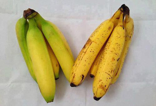 Không chỉ vậy, chuối còn chứa nhiều carbohydrate, chất xơ, vitamin B và vitamin C có tác dụng nâng cao hệ miễn dịch, giảm hấp thu các chất độc hại, ngăn ngừa sự xuất hiện của các tế bào ung thư.