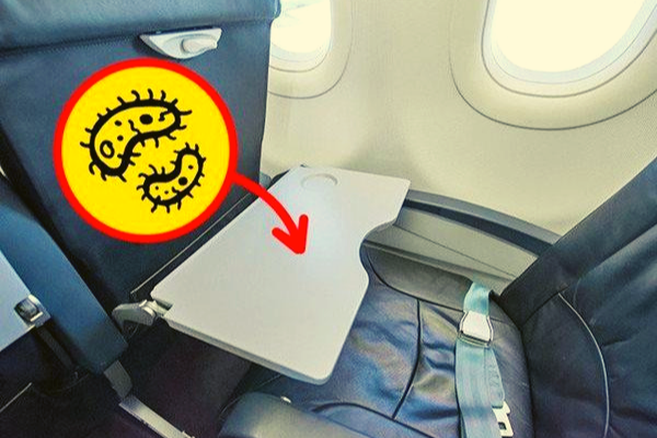 Mặc dù tiếp viên vẫn vệ sinh mỗi ngày 1 lần song chúng vẫn có thể chứa hàng triệu vi khuẩn từ những người sử dụng trước đó.