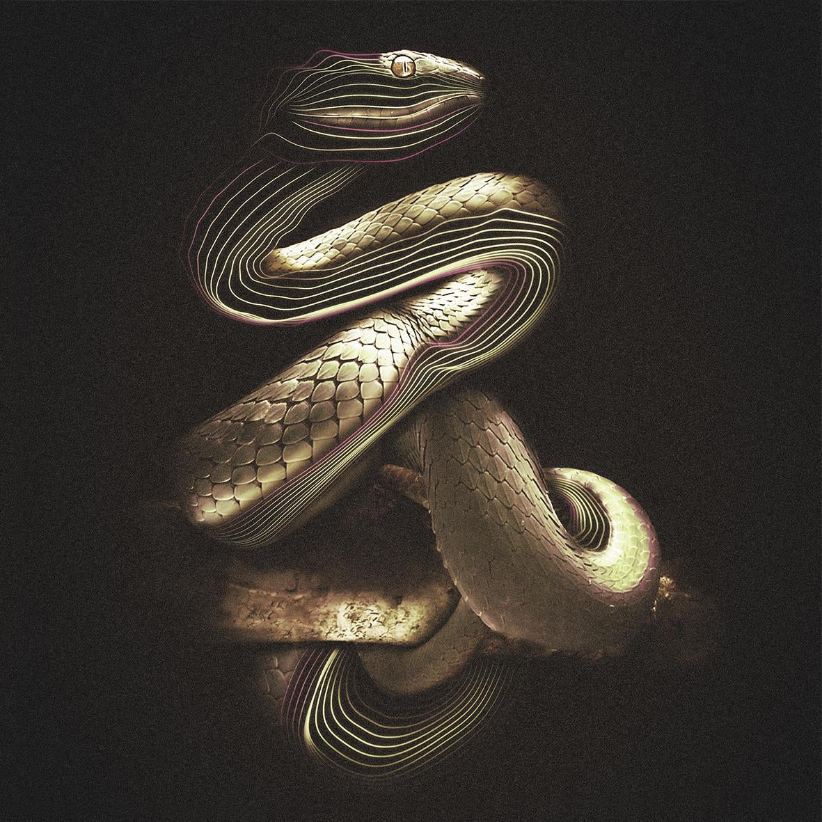 Tuổi Tỵ công tư phân minh nên được lãnh đạo đánh giá cao. Có nhiều ý tưởng làm ăn thông minh, con giáp thu được cơn mưa tiền.