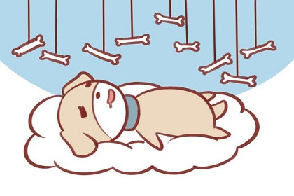 Tuổi Tuất hôm nay nhận được nhiều lời khen ngợi khi thể hiện được năng lực. Có nhiều tiền, con giáp lại rơi vào cơn khát mua sắm, cần có biện pháp kiềm chế kịp thời.